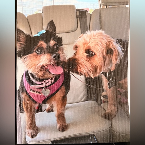 ✨I’m Live, Come Join Me💖✨🦋 - Picture 12 of 17